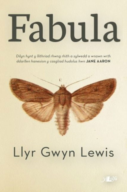 Cover for Llyr Gwyn Lewis · Fabula (Paperback Book) (2017)