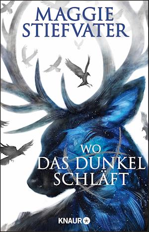 Wo das Dunkel schläft - Maggie Stiefvater - Boeken - Knaur Taschenbuch - 9783426529010 - 2 mei 2022