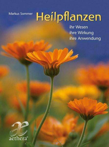 Cover for Sommer · Heilpflanzen (Book)