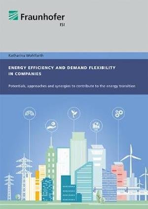 Cover for Wohlfarth · Energy efficiency and demand (Book)