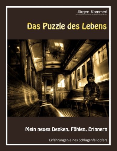 Cover for Jã1/4rgen Kammerl · Das Puzzle Des Lebens - Band 2 (Paperback Bog) [German edition] (2011)