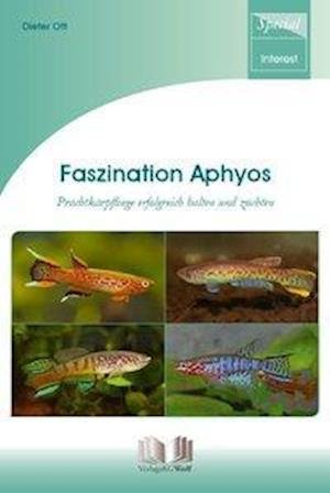 Faszination Aphyos - Ott - Books -  - 9783894320010 - 