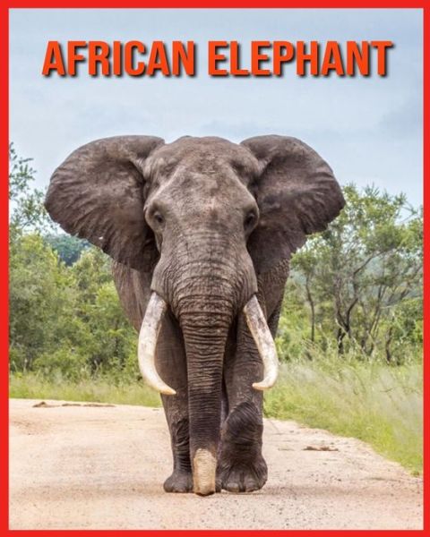 Cover for Linda Davis · African Elephant (Paperback Book) (2021)