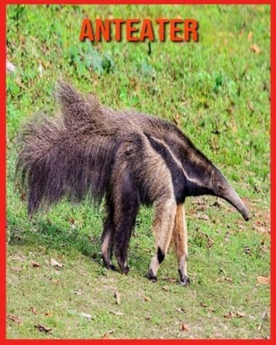 Cover for Annie Nichols · Anteater (Paperback Book) (2021)