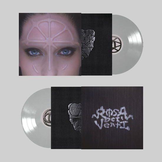 Cover for Gaia · Rosa Dei Venti (Lp Trasparente) (LP) (2025)