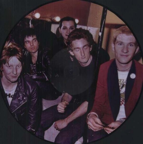 Cover for The Damned · Pure Punk 1977-1982 (LP) [Picture Disc edition] (1990)