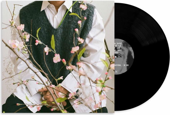 Cover for Shigeto · Cherry Blossom Baby (LP) (2024)