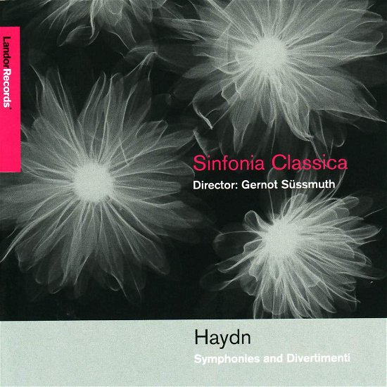 Haydn-symphonies and Divertiment - Sinfonia Classica - Musik - Landor Records - 0827912076011 - 25. april 2018