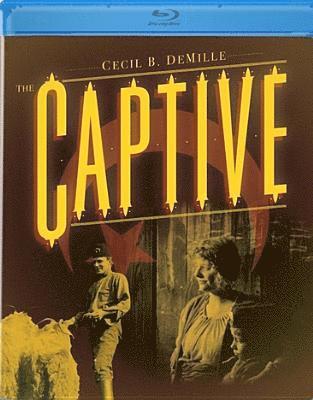 Cover for Captive (Blu-ray) (2016)