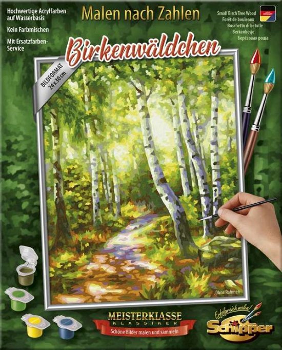 Cover for Mnz · Birkenwäldchen.609240801 (Book) (2019)