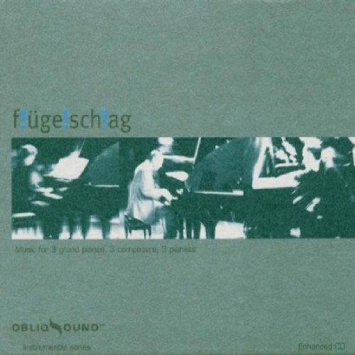 Cover for Flugelschlag (CD) (2008)