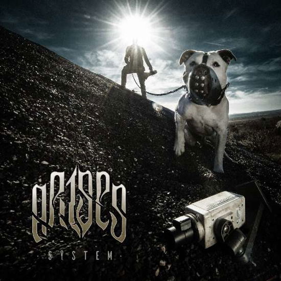 System - Arises - Muzyka - Wormholedeath - 4260177742011 - 22 listopada 2019