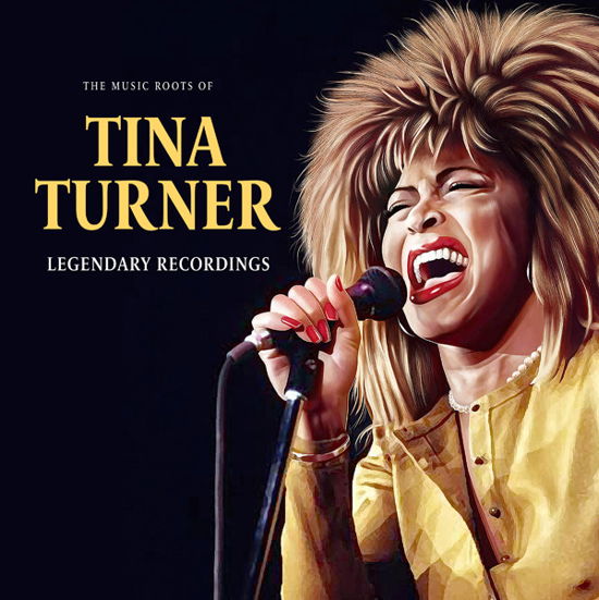 The Music Roots Of - Tina Turner - Musik - SIS - 6583812120011 - 25. august 2023