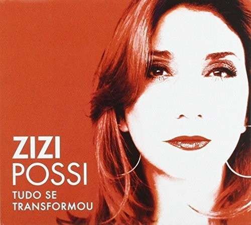 Cover for Zizi Possi · Tudo Se Transformou (CD) (2014)