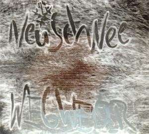 Cover for Neuschnee · Wegweiser (CD) (2013)