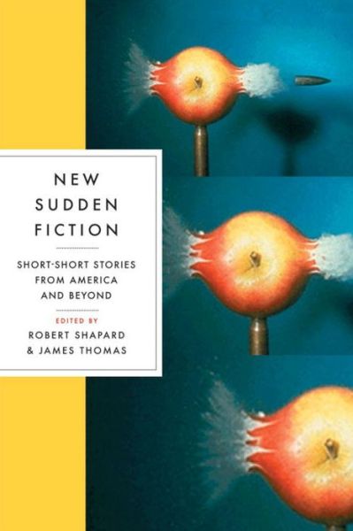 Cover for Robert Shapard · New Sudden Fiction: Short-short Stories from America and Beyond (Paperback Book) (2007)