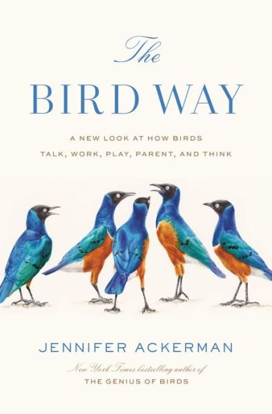 Cover for Jennifer Ackerman · The Bird Way: A New Look at How Birds Talk, Work, Play, Parent, and Think (Inbunden Bok) (2020)