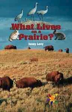 Cover for Janey Levy · What Lives on a Prairie? (Rosen Publishing Group's Reading Room Collection) (Hardcover Book) (2002)