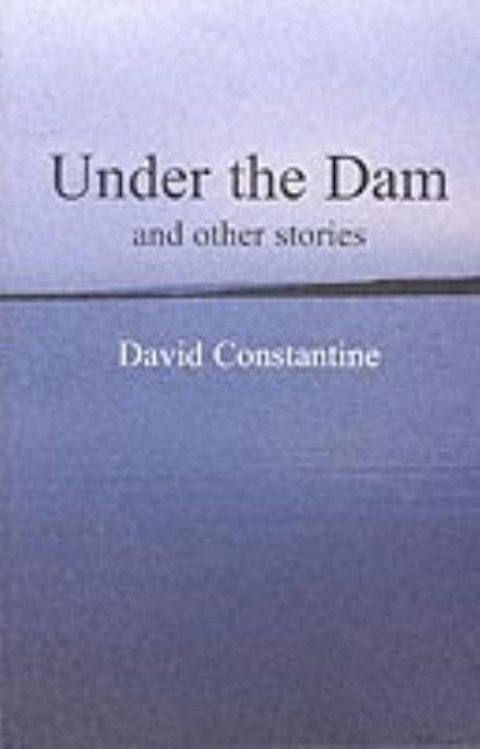 Cover for David Constantine · Under the Dam: and other stories (Paperback Bog) (2005)