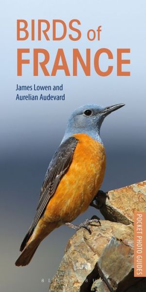 Cover for James Lowen · Birds of France - Pocket Photo Guides (Pocketbok) (2018)