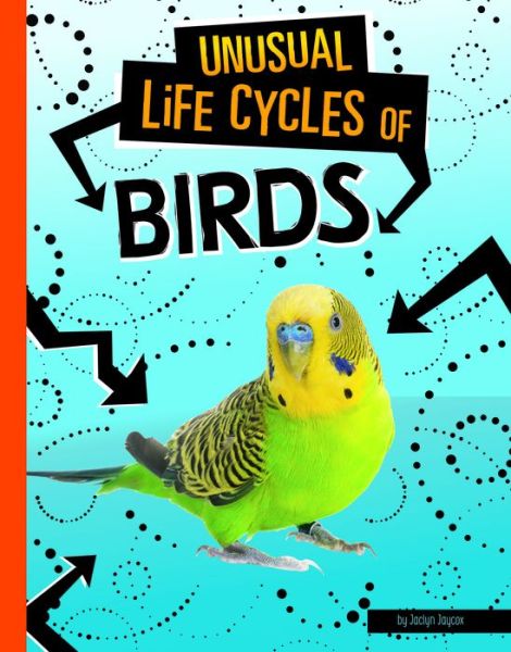 Cover for Jaclyn Jaycox · Unusual Life Cycles of Birds (Paperback Book) (2021)