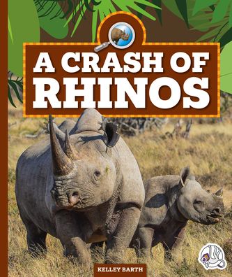 Cover for Kelley Barth · Crash of Rhinos (Book) (2024)