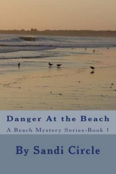 Cover for Sandi Circle · Danger At the Beach (Paperback Book) (2016)