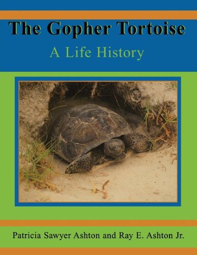 Cover for Ray E Ashton · The Gopher Tortoise: A Life Story - Life History Series (Paperback Book) (2004)