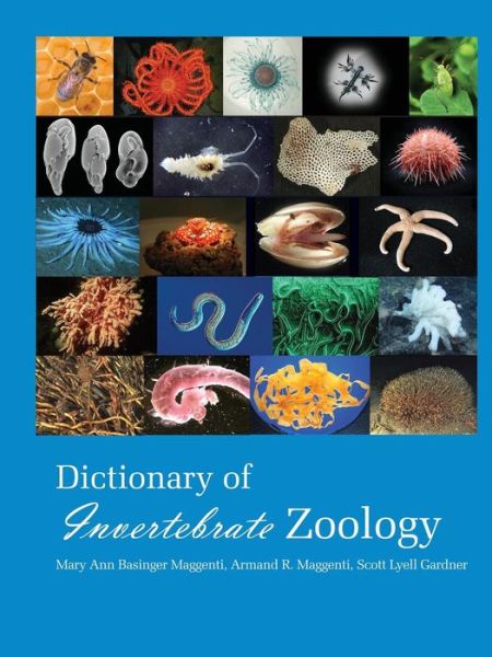 Cover for Maggenti Mary Ann · Dictionary of Invertebrate Zoology --paperback (Paperback Book) (2011)