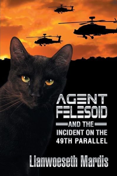 Cover for Llanwoeseth Mardis · Agent Felesoid and the Incident on the 49th Parallel (Paperback Book) (2015)