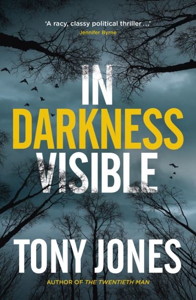 Cover for Tony Jones · In Darkness Visible (Paperback Book) (2019)