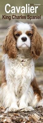 Cavalier King Charles Slim Calendar 2025 Dog Breed Slimline Calendar - 12 Month (Calendar) (2024)