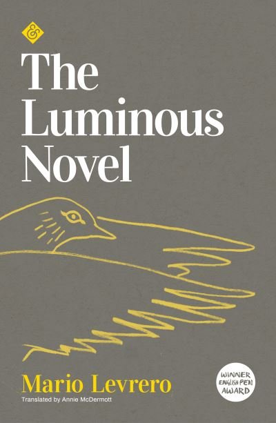 Cover for Mario Levrero · The Luminous Novel (Paperback Bog) (2021)