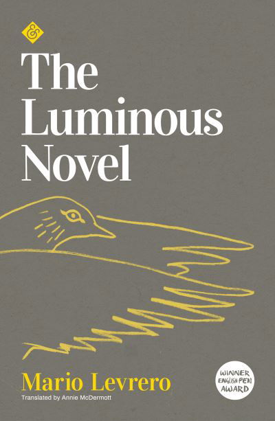 Cover for Mario Levrero · The Luminous Novel (Pocketbok) (2021)