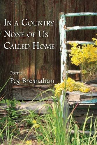 Cover for Peg Bresnahan · In a Country None of Us Called Home (Paperback Book) (2014)