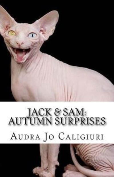 Cover for Audra Jo Caligiuri · Jack &amp; Sam (Paperback Book) (2018)