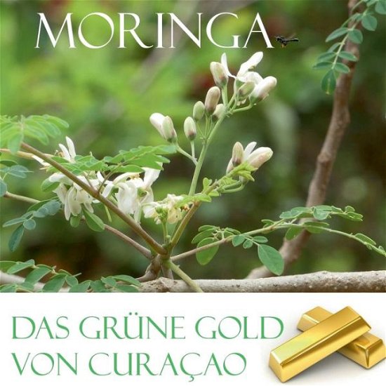 Cover for Elke Verheugen · Das grune Gold von Curacao: Moringa (Paperback Book) (2020)