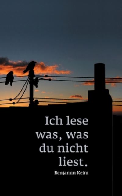 Cover for Benjamin Kelm · Ich lese was, was du nicht liest. (Paperback Book) (2020)