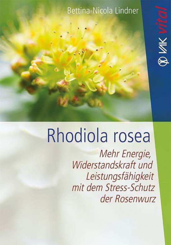 Rhodiola rosea - Lindner - Books -  - 9783867312011 - 