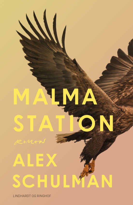 Cover for Alex Schulman · Malma station (Sewn Spine Book) [1. Painos] (2023)