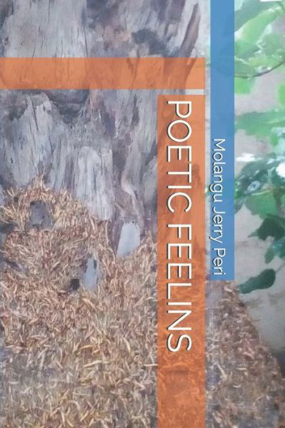 Poetic Feelings - Molangu Jerry Peri - Böcker - Independently Published - 9798650413011 - 2 juni 2020