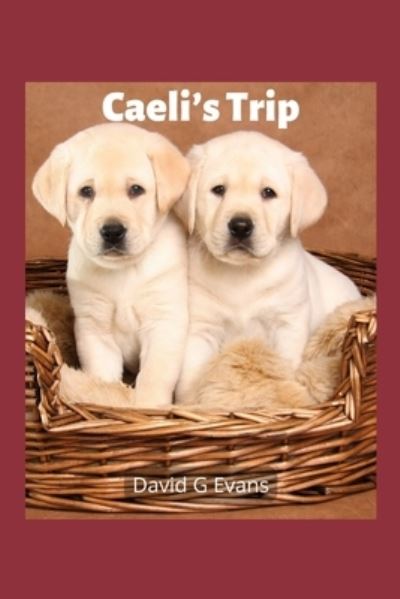 Cover for David G Evans · Caeli's Trip (Paperback Book) (2022)