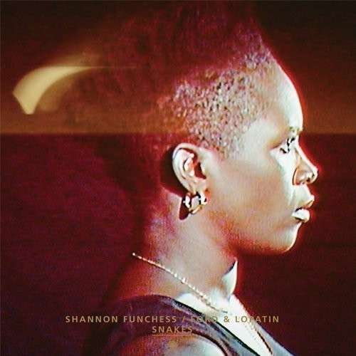 Ford & Lopatin/ Shannon Funchess / Tamaryn-snakes - LP - Muziek - MEXSU - 0184923110012 - 22 november 2011