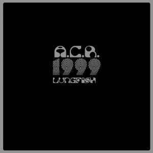 Cover for Lungfish · A.c.r.1999 (LP) (2012)
