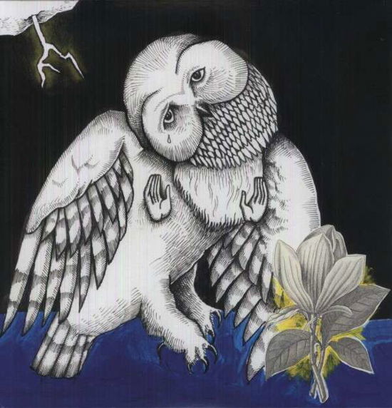 Cover for Songs: Ohia · Magnolia Electric Co. (LP) [Deluxe edition] (2013)