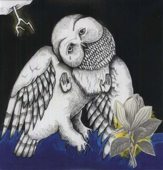 The Magnolia Electric Co (2lp Deluxe) - Songs: Ohia - Musik - SECRETLY CANADIAN - 0656605030012 - November 25, 2013