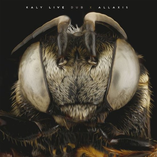 Cover for Kaly Live Dub · Allaxis (CD) (2013)