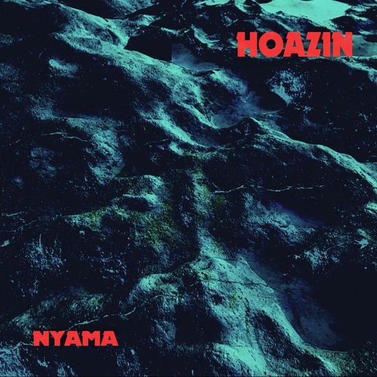 Cover for Hoazin · Nyama (LP) (2025)