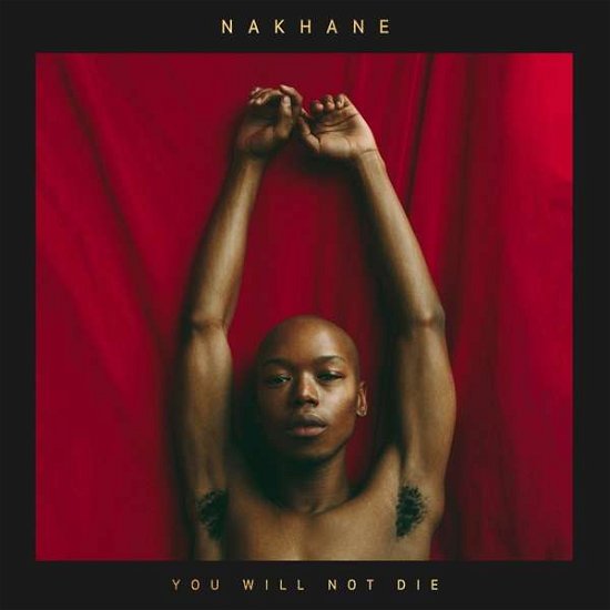 You Will Not Die - Nakhane - Muziek - BMG RIGHTS MGMT FRANCE SARL - 4050538334012 - 16 maart 2018