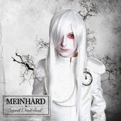 Cover for Meinhard · Beyond Wonderland (CD) (2013)